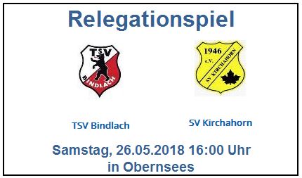 Relegationspiel