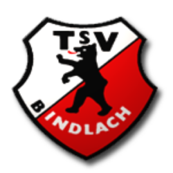 tsv-bindlach-logo-300x300